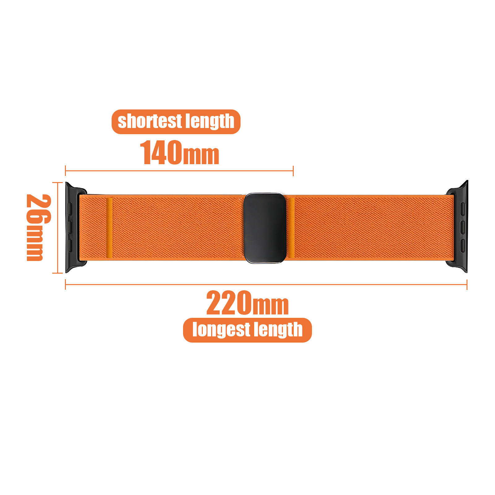 Cinturino magnetico per Apple  - Women Accessories Website recensione e prezzo
